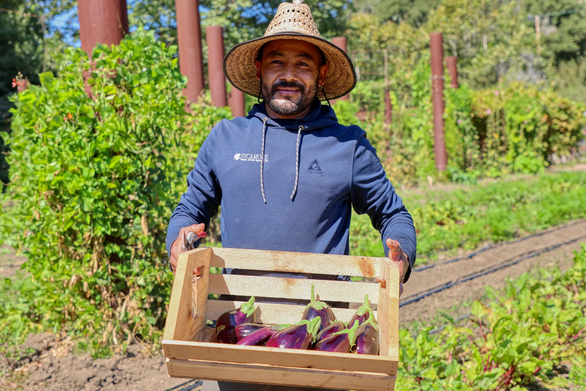 Healthy Dining. Farm to Table. Garden to Table. Avila Restaurant. Where to Eat in Avila 1
