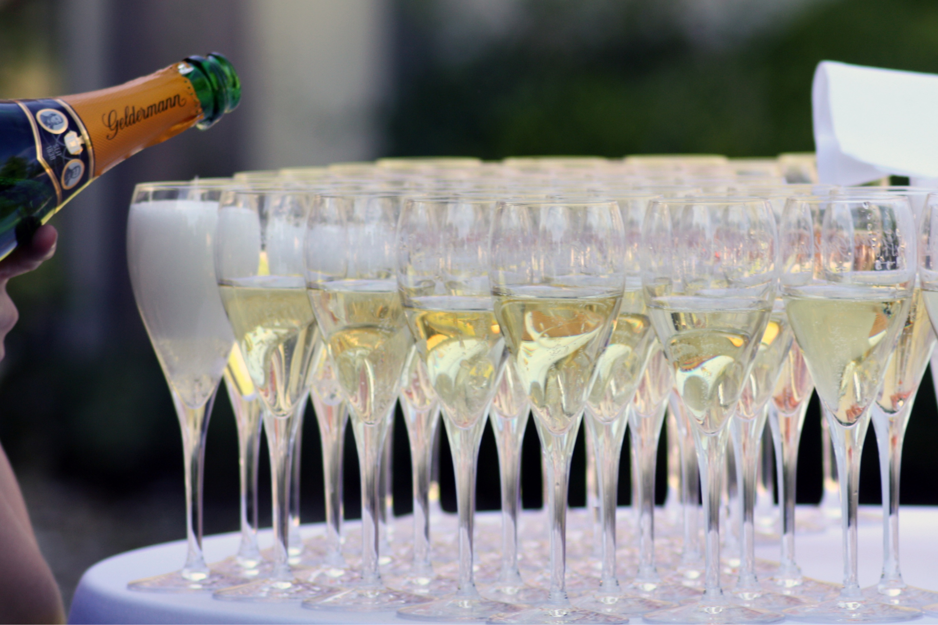 Cocktail Toast Garden Wedding San Luis Obispo