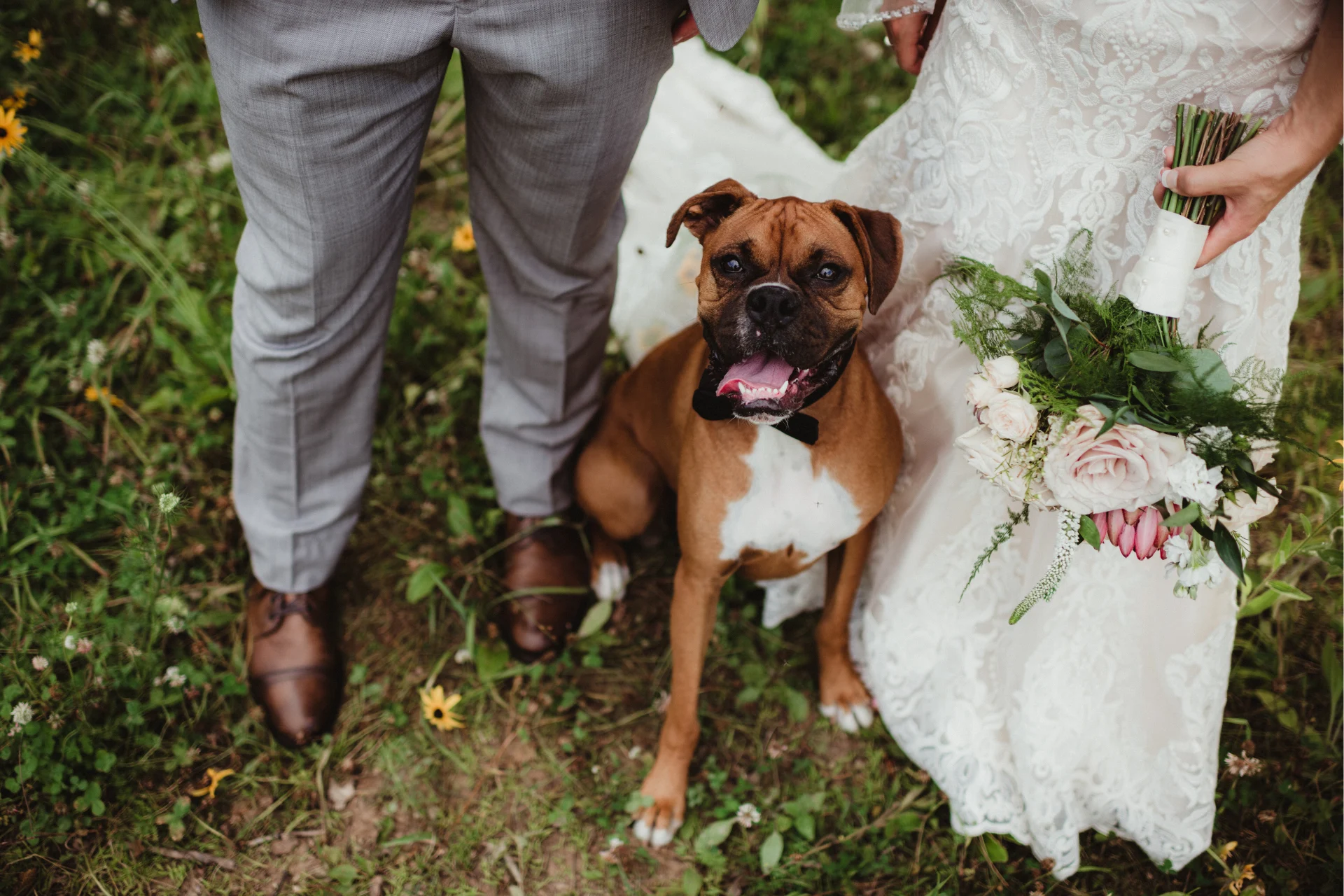 Dog Friendly Wedding Venue San Luis Obispo
