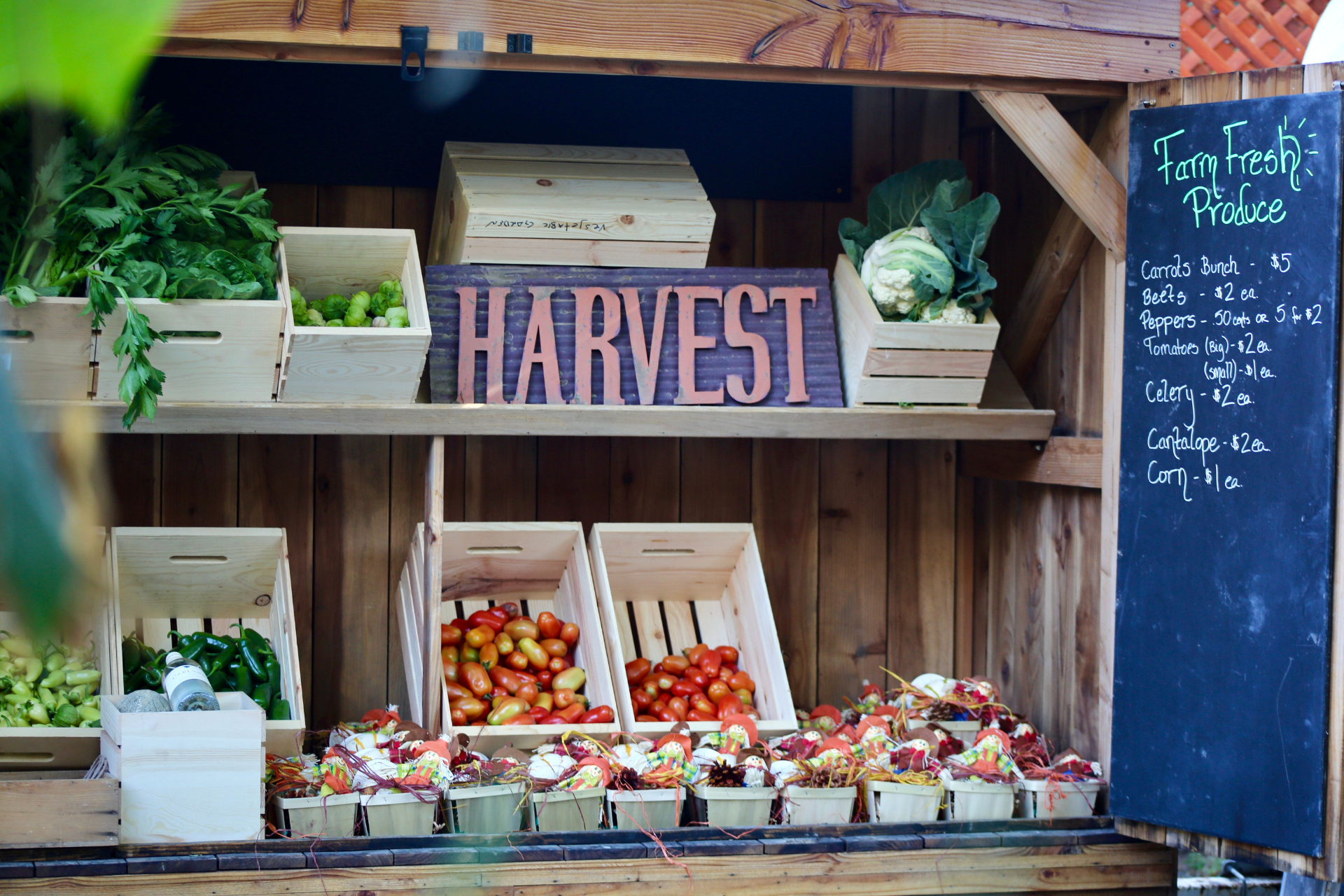 Garden Catering Farm to Table Catering Wedding San Luis Obispo