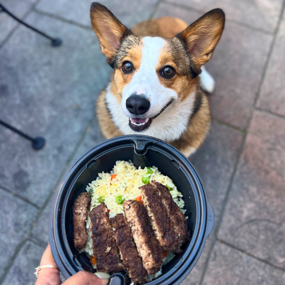 Dog Menu