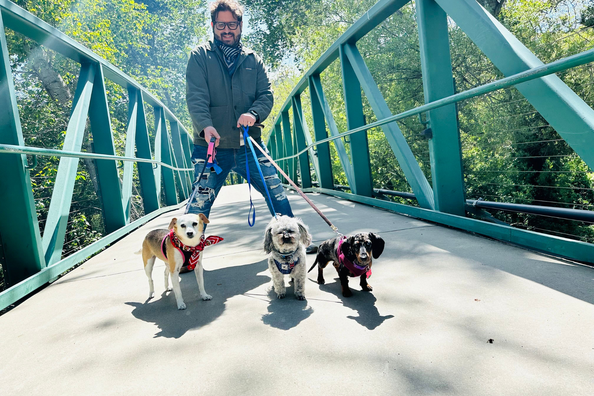 Dog Friendly Hotel San Luis Obispo. Dog Friendly Hotel Pismo Beach.