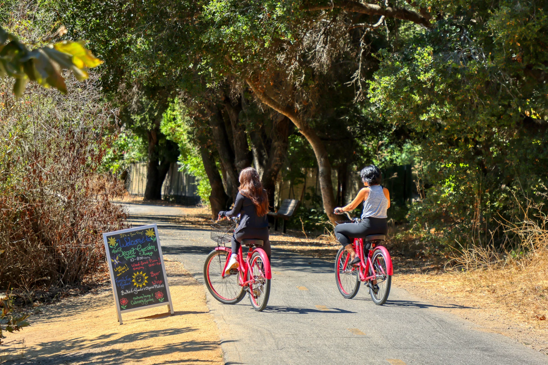 Bob Jones Trail