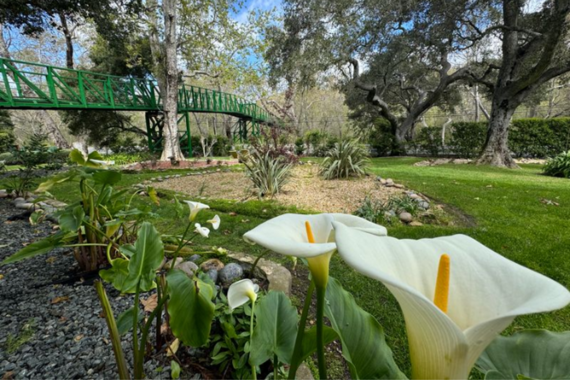 Visit the Gardens of Sycamore Springs Resort and Spa