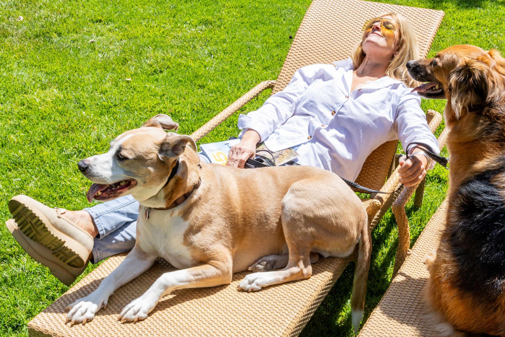 Dog Friendly Hotel San Luis Obispo. Dog Friendly Hotel Pismo Beach.