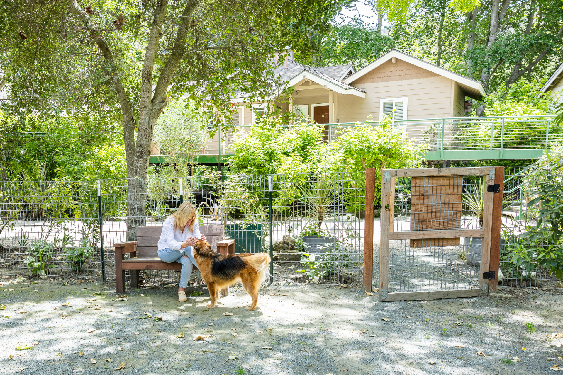 Dog Friendly Hotel San Luis Obispo. Dog Friendly Hotel Pismo Beach.