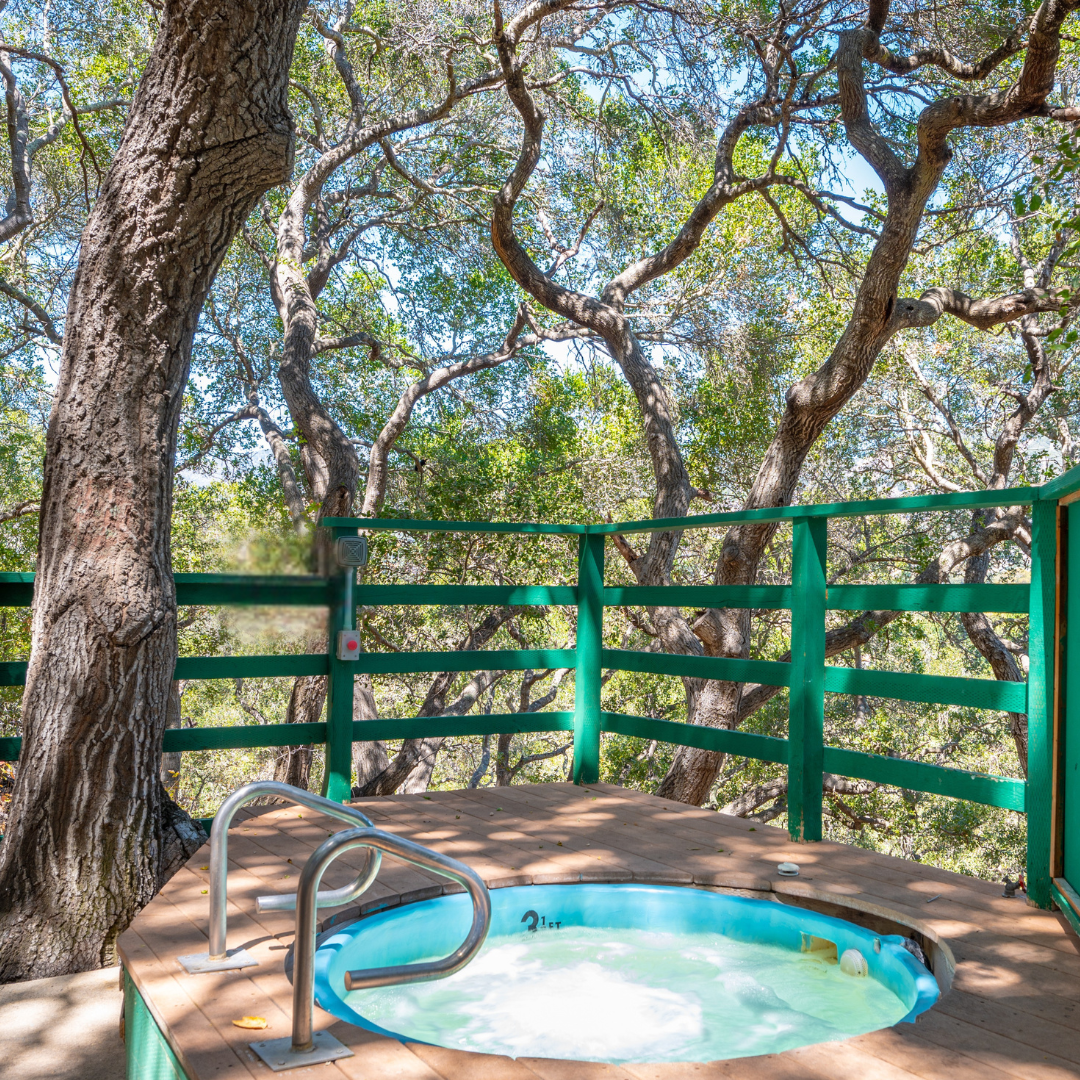 California Mineral Hot Springs