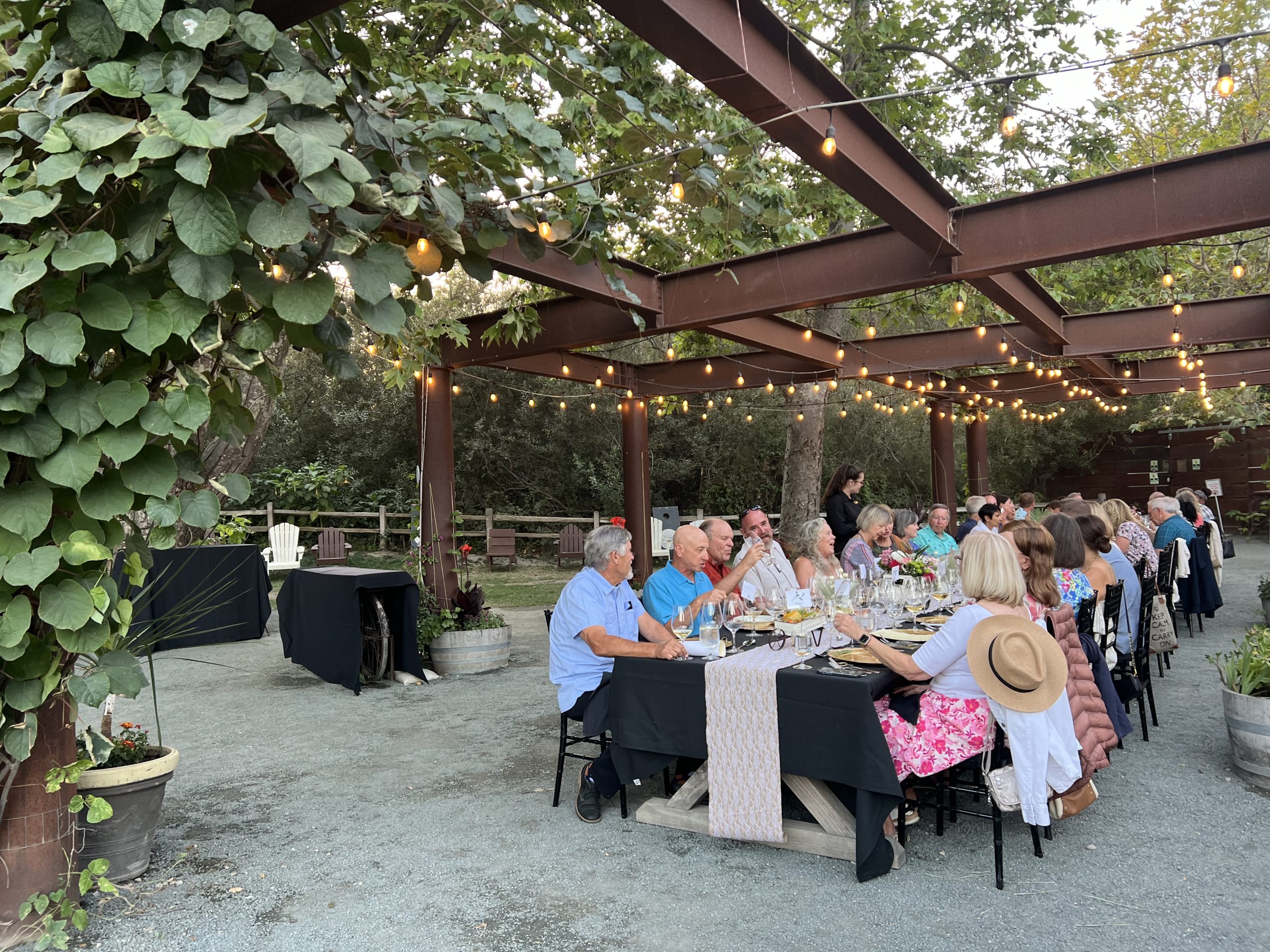 Photo Sep 06 2024, 7 01 25 PM