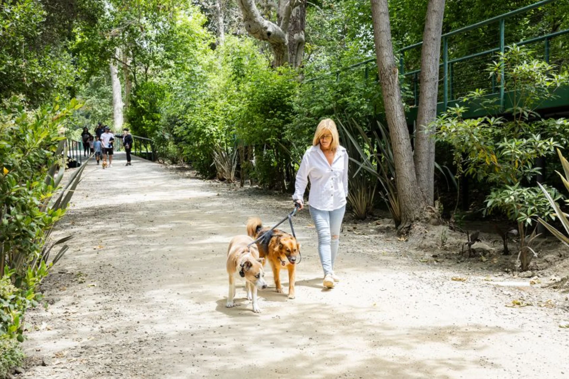 Dog Friendly Hotel San Luis Obispo. Dog Friendly Hotel Pismo Beach.