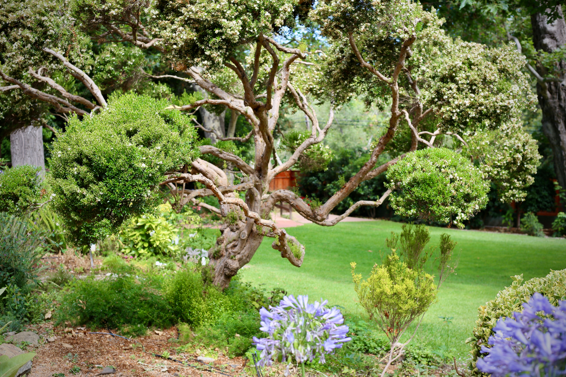 Hidden gems along Highway 1 California