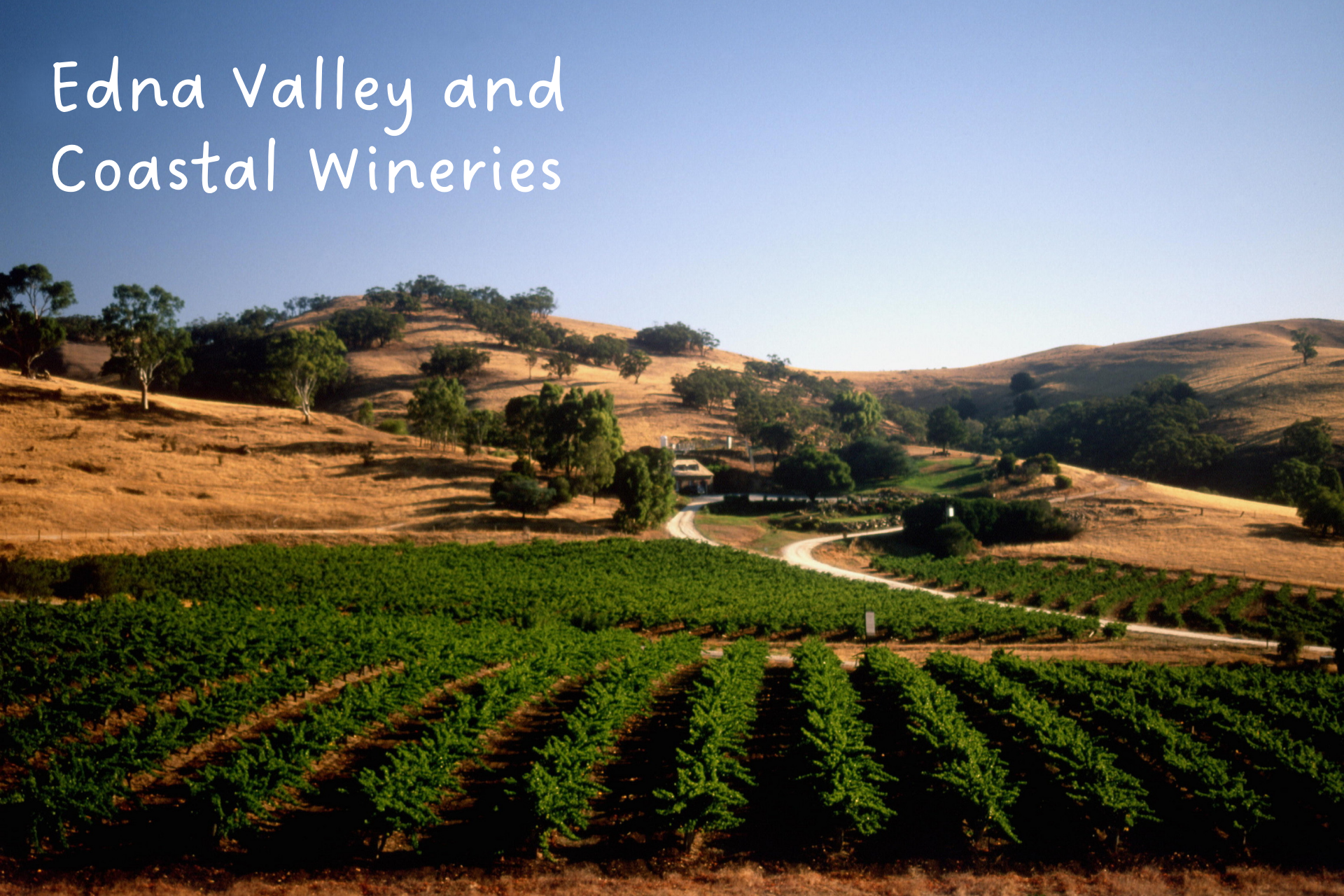 Hidden gems along Highway 1 California. California Road Trip.