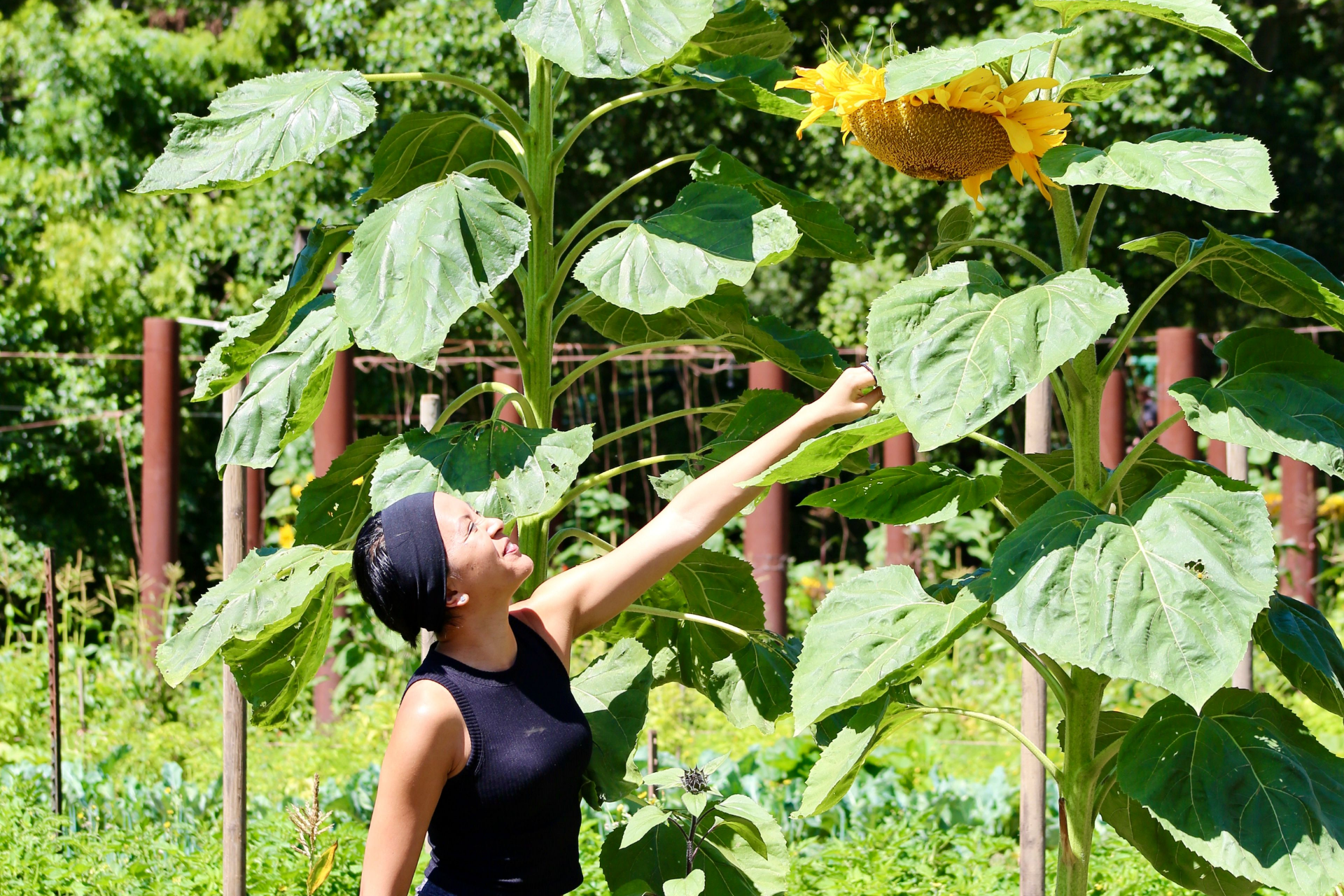 Hidden gems along Highway 1 California