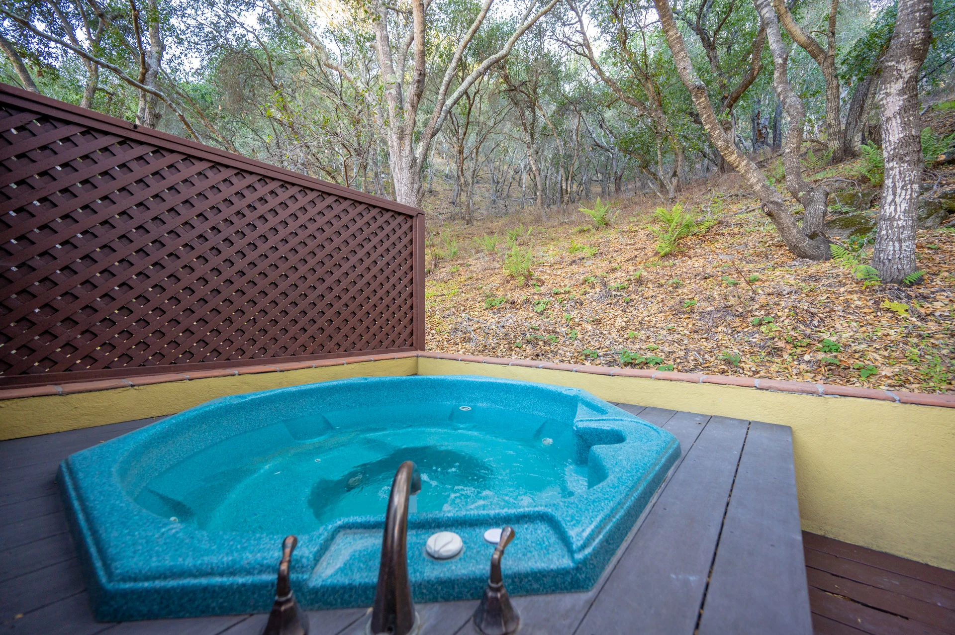 Sycamore Guest House Hot Tub