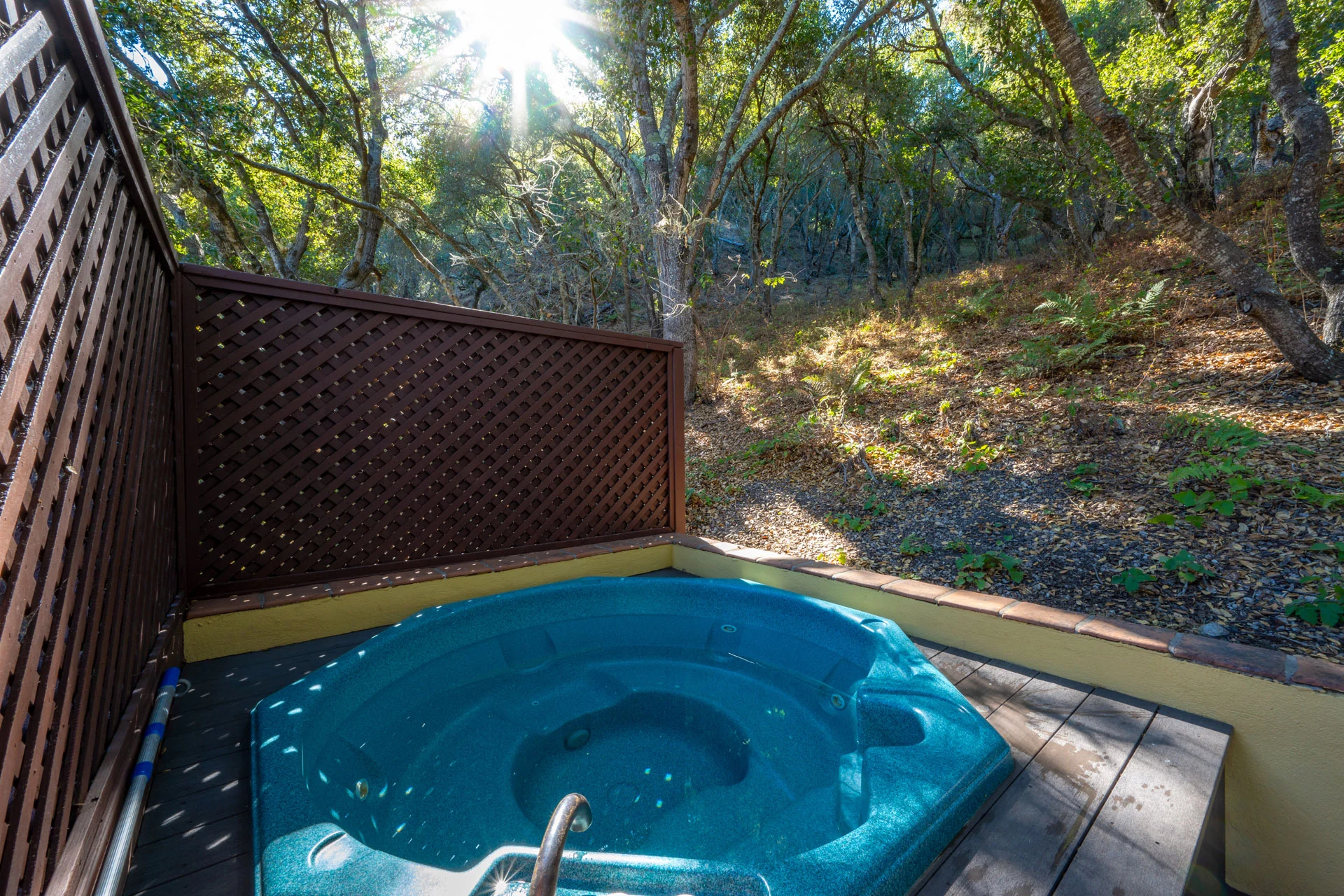 Sycamore Guest House Hot Tub