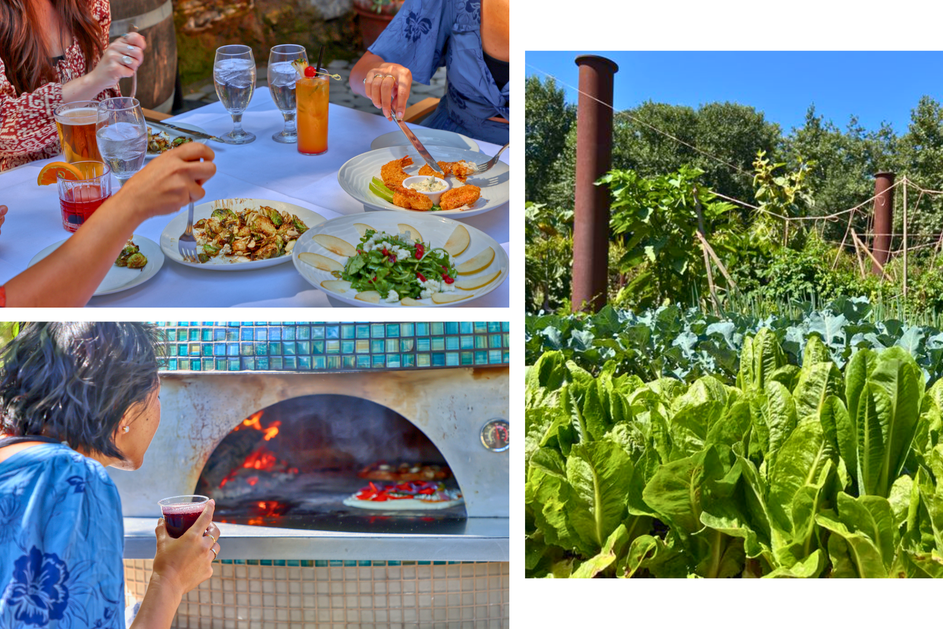 Located over the Green Sycamore Bridge or off the Bob Jones Trail is our Secret Garden.