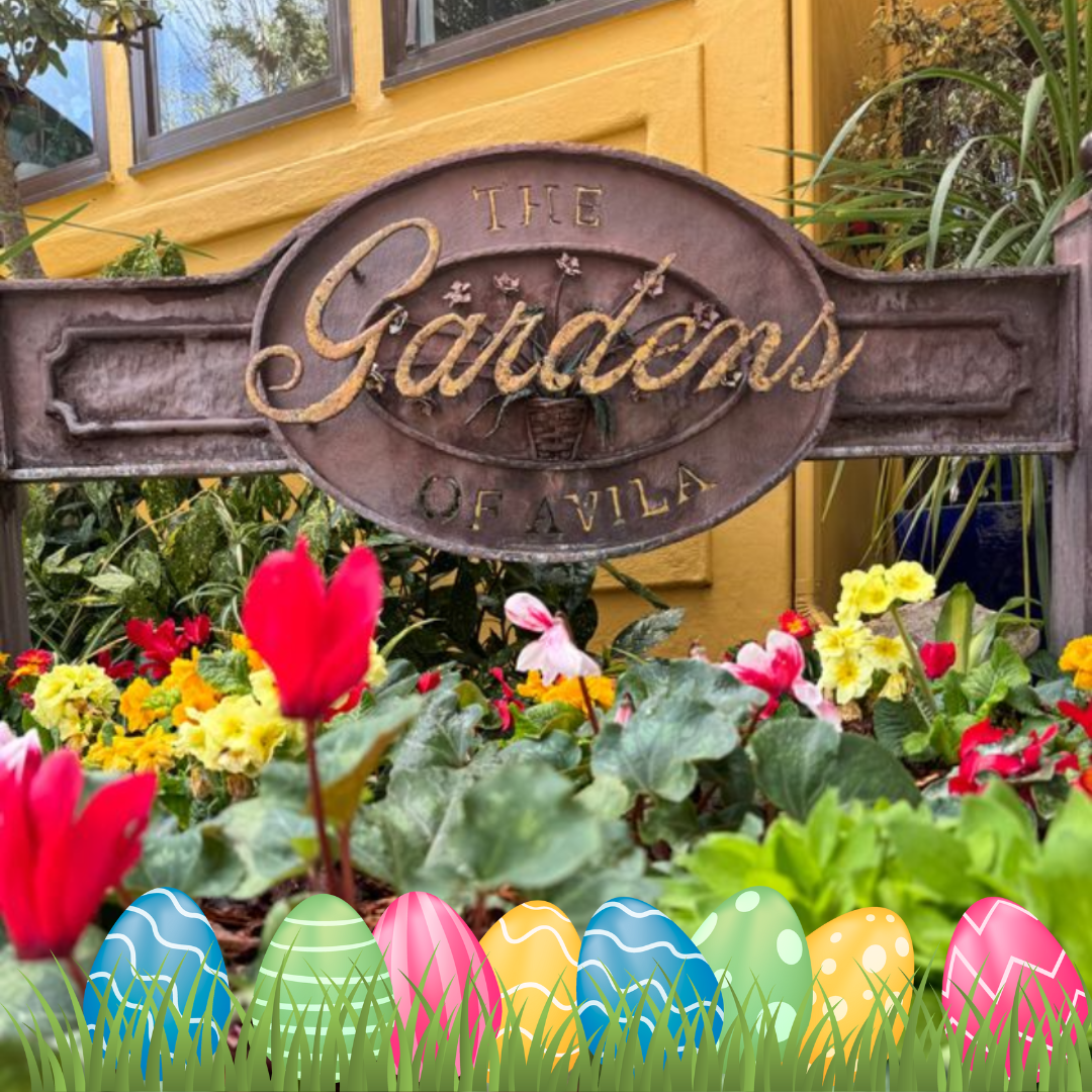 Easter Brunch at Sycamore