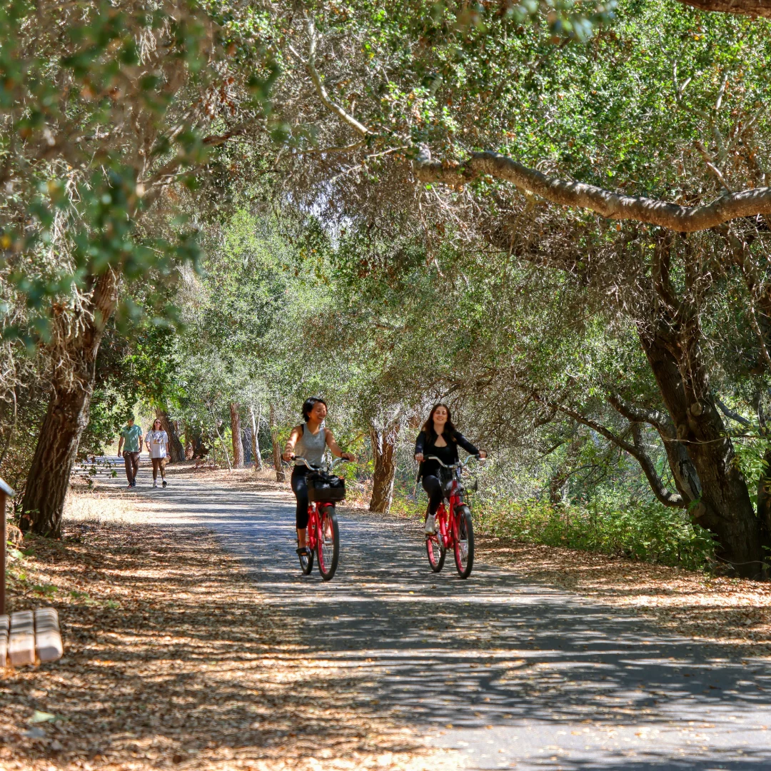Start the Day with a Cinnamon Roll and a Scenic Stroll