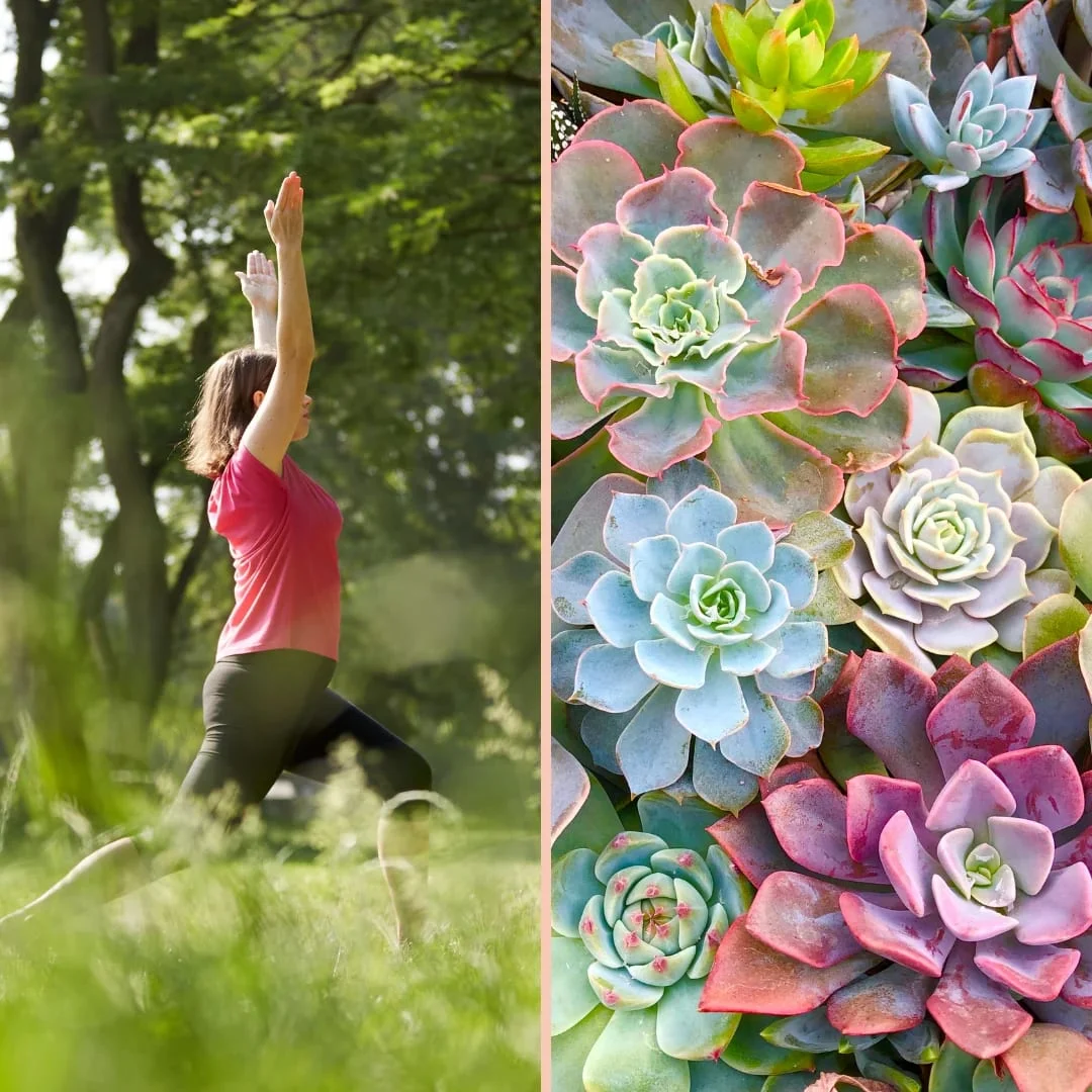 Root & Rise: Spring Wellness at Sycamore