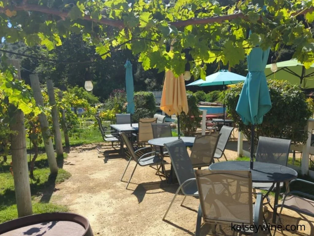 Wine Tasting San Luis Obispo