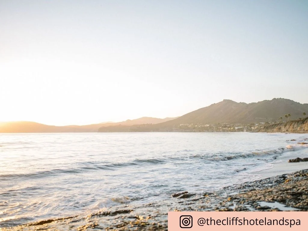 Shell Beach