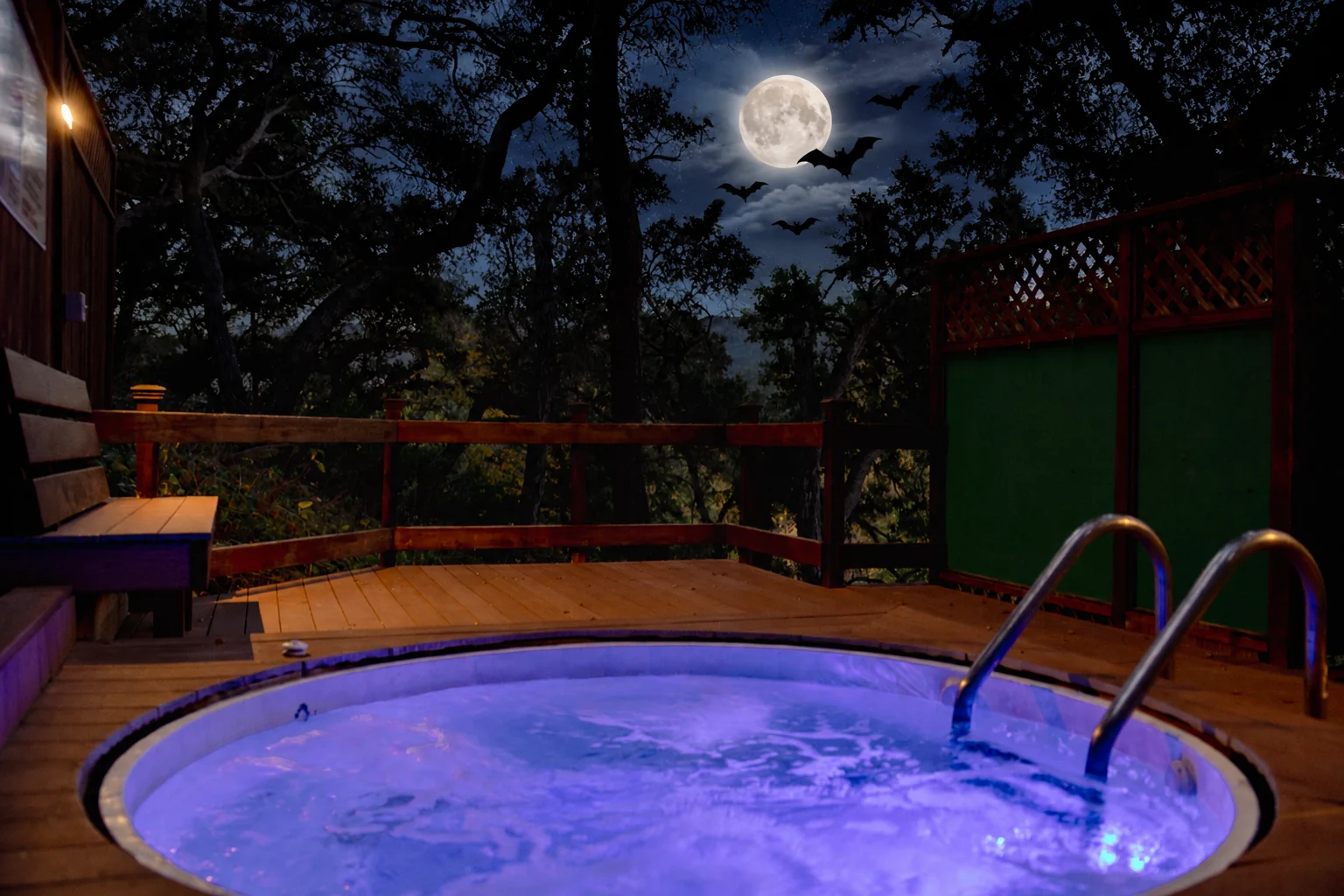Hot Tub with Full Moon and Bats